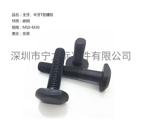 全牙、半牙T型螺栓